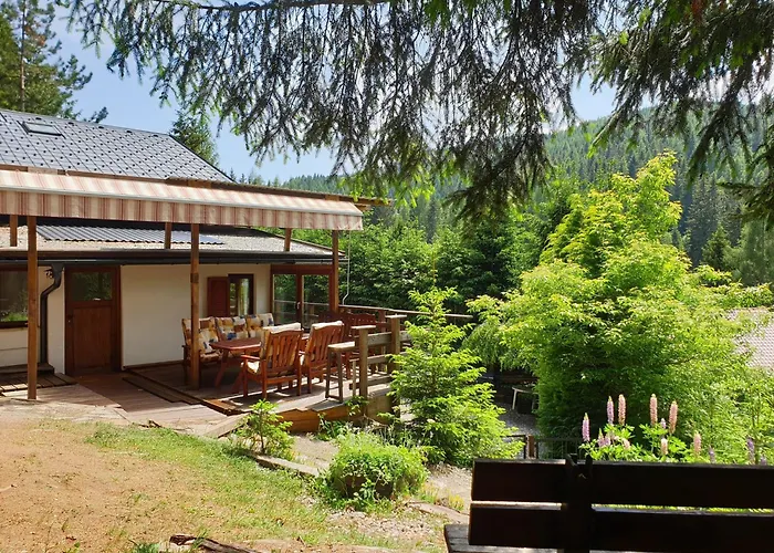 Alm'ferienhaus Gaisegg 別荘 *