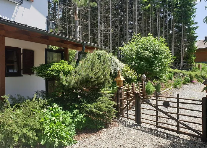 Alm'ferienhaus Gaisegg 別荘 *