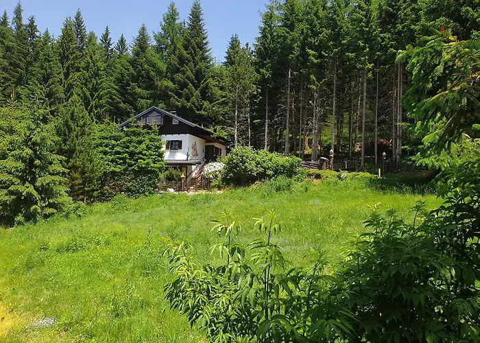 別荘 Alm'ferienhaus Gaisegg